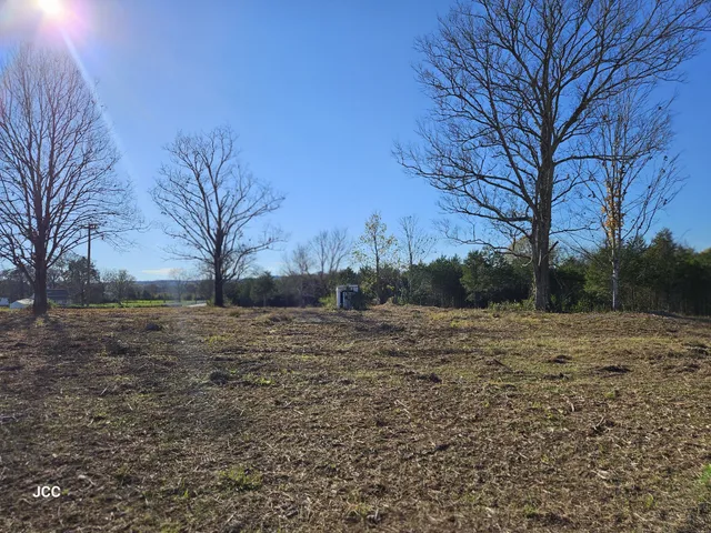 a view of a field with trees in background