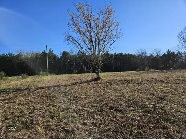 a view of a field with trees in the background