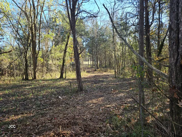 a view of a yard with trees