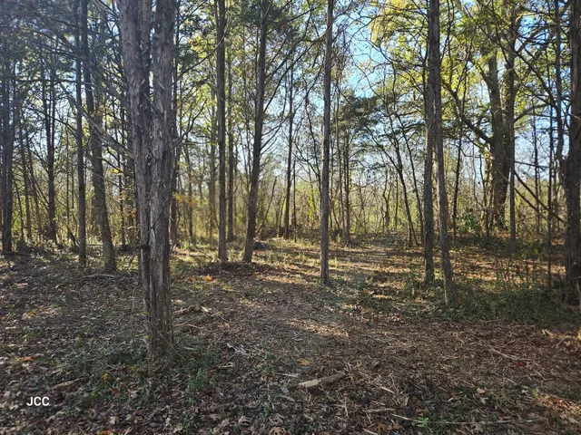 a view of road with trees