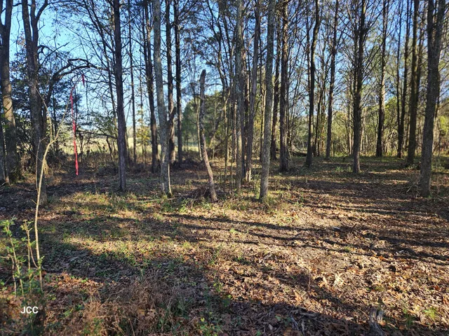 a view of backyard space