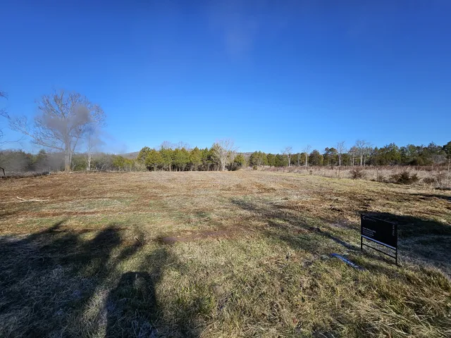 a view of large yard with large trees