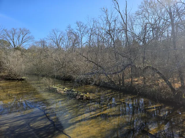 a view of dirt field with trees in background