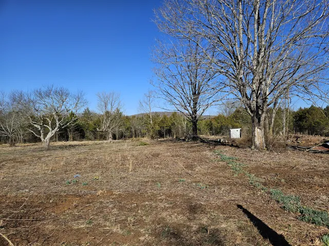 a view of dirt field with trees in background