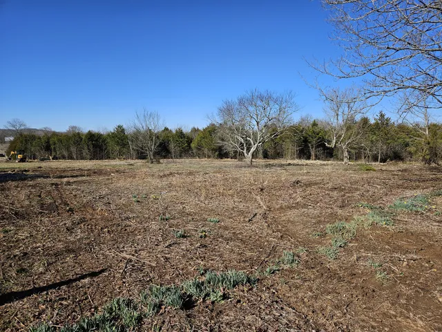a view of backyard with green space