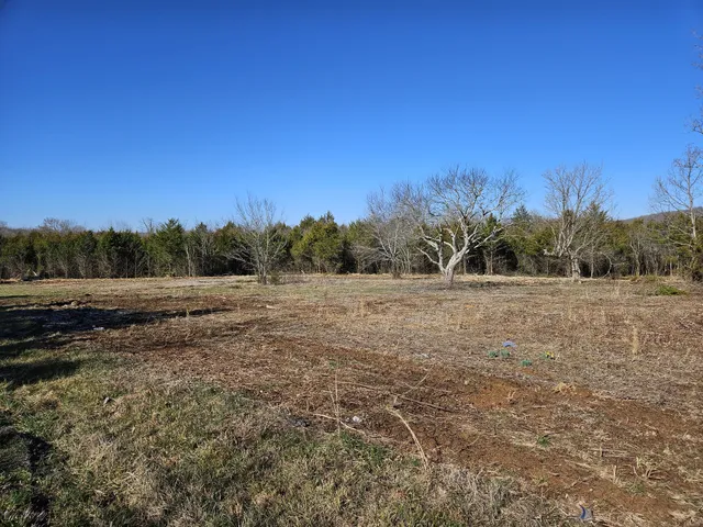 a view of backyard with large trees