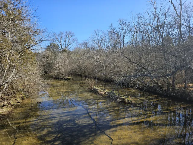 a view of a backyard with large trees