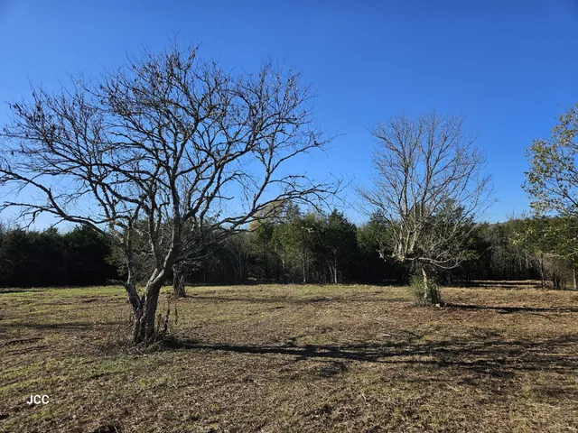 a view of dirt yard and trees