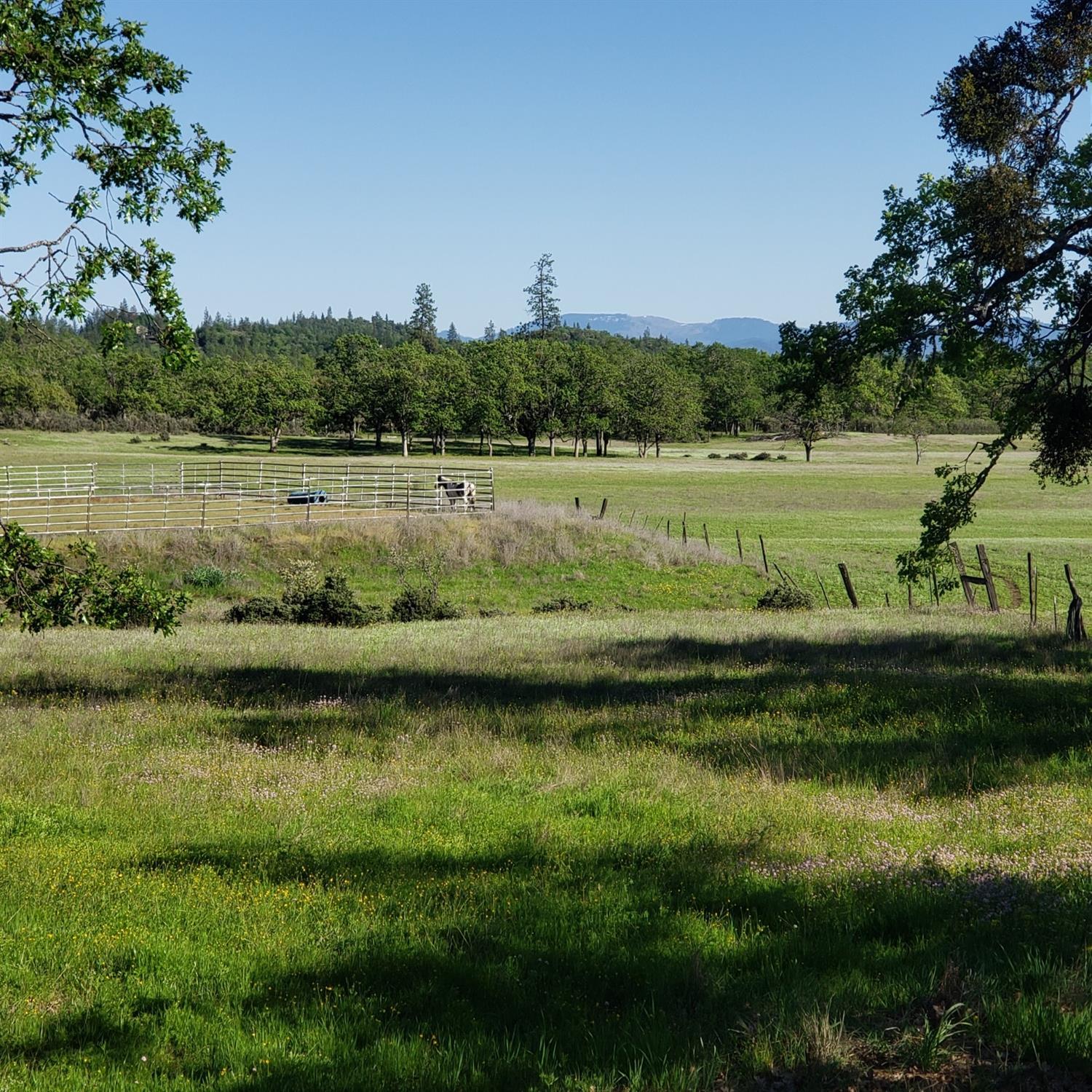 16404 Shiloh Road White City, OR 97503 - Photo 27 of 35 Additional Photo