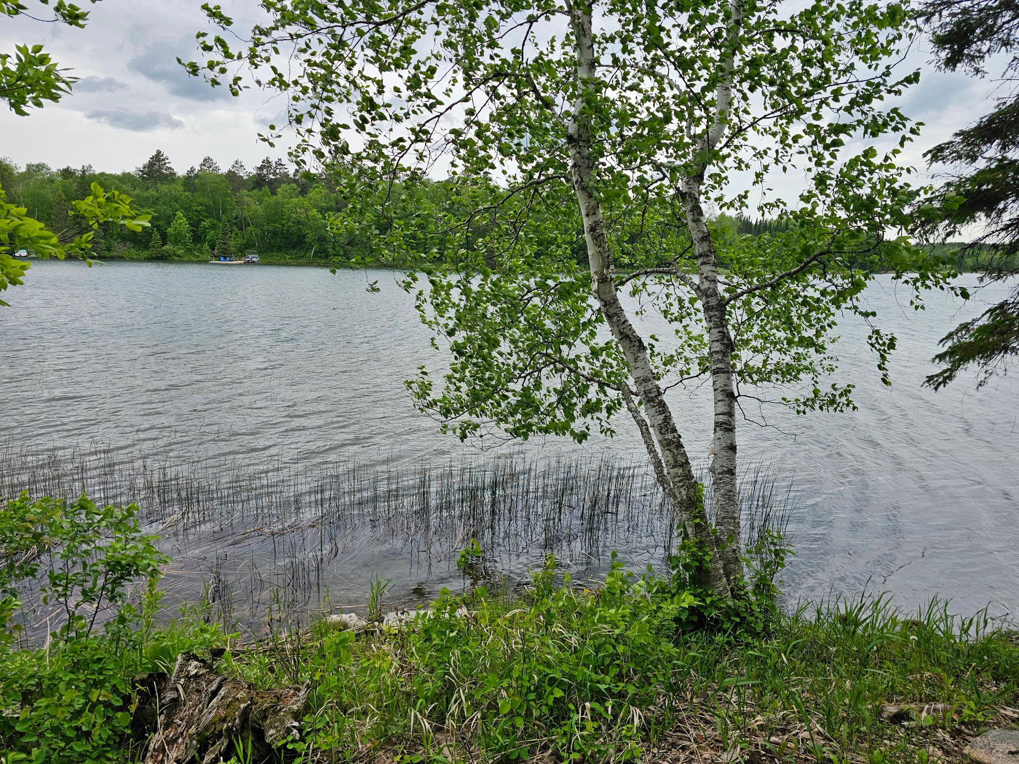 35365 East Boot Lake Road Park Rapids, MN 56470 - Photo 54 of 87
