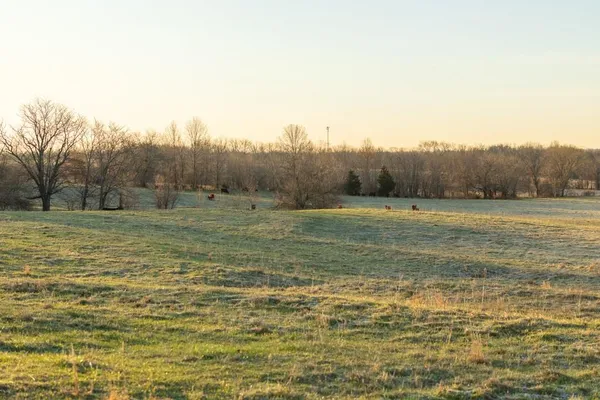 $1,165,550 | 46863 East 192nd Street, Norborne, MO 64668