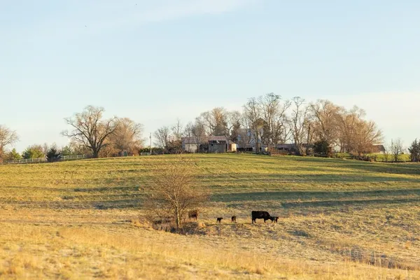 $1,165,550 | 46863 East 192nd Street, Norborne, MO 64668
