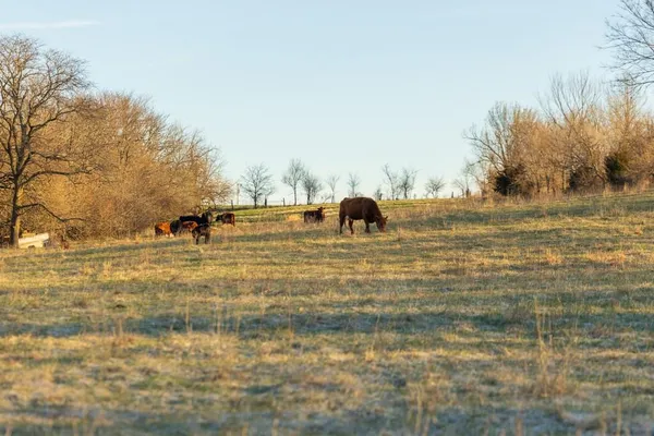 $1,165,550 | 46863 East 192nd Street, Norborne, MO 64668