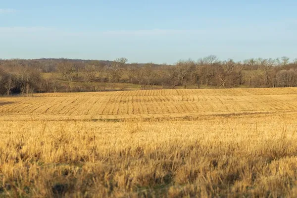 $1,165,550 | 46863 East 192nd Street, Norborne, MO 64668