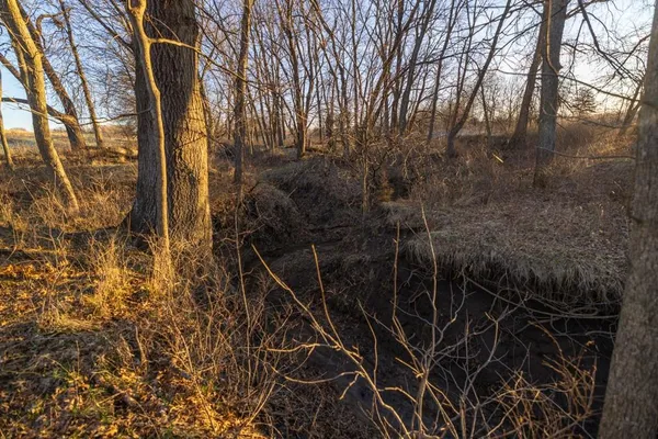 $1,165,550 | 46863 East 192nd Street, Norborne, MO 64668