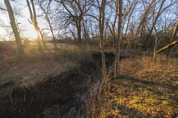 $1,165,550 | 46863 East 192nd Street, Norborne, MO 64668