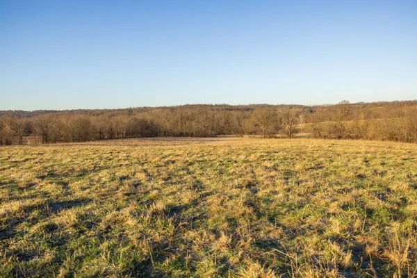 $1,165,550 | 46863 East 192nd Street, Norborne, MO 64668