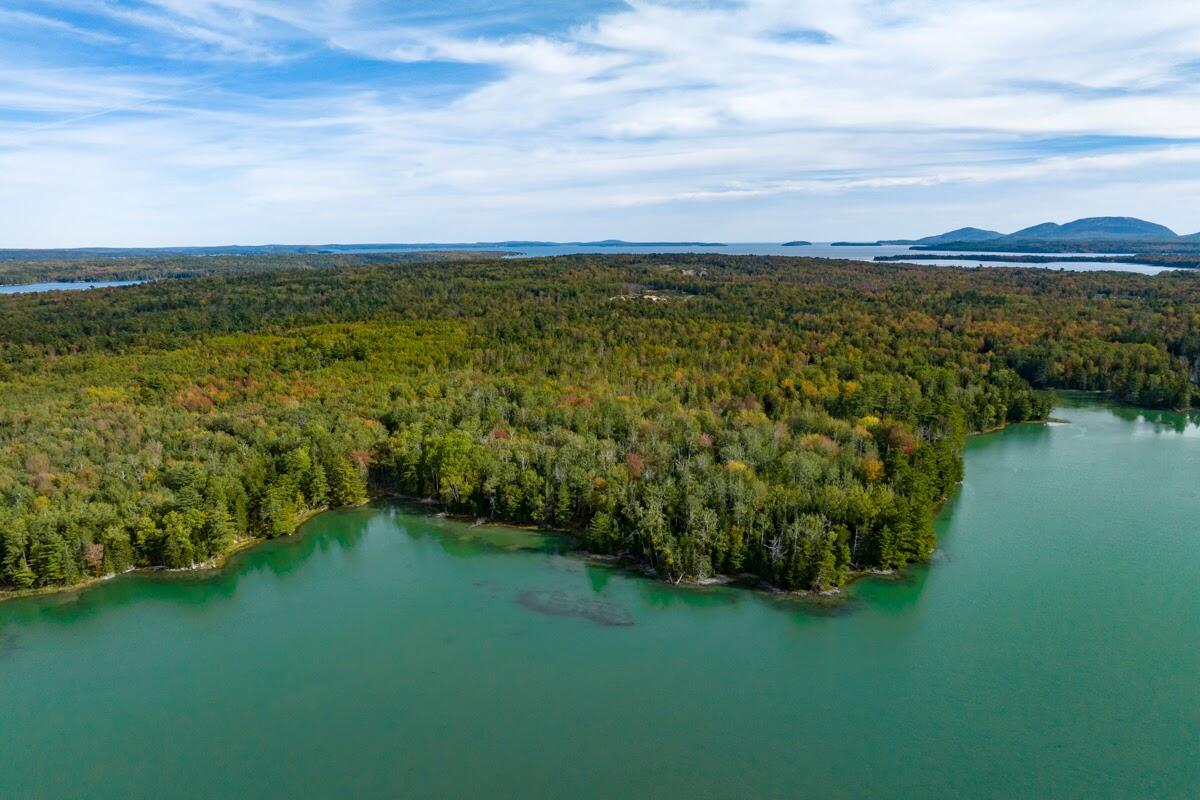 0 Partridge Cove Road Lamoine, ME 04605 - Photo 13 of 21 36 - 386 Partridge Cove Road Land LoRes