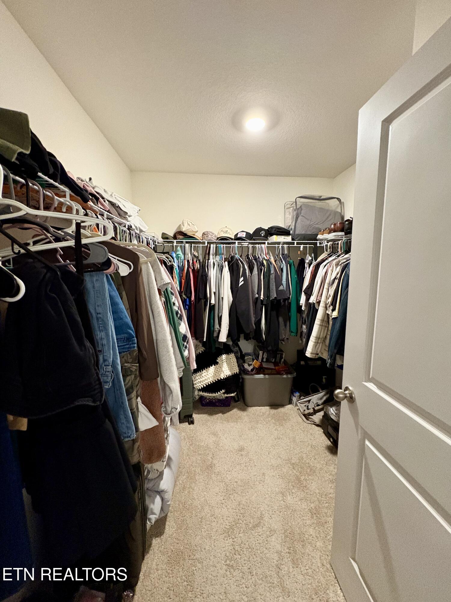 7513 Cottontail Street Corryton, TN 37721 - Photo 15 of 28 IMG_0545