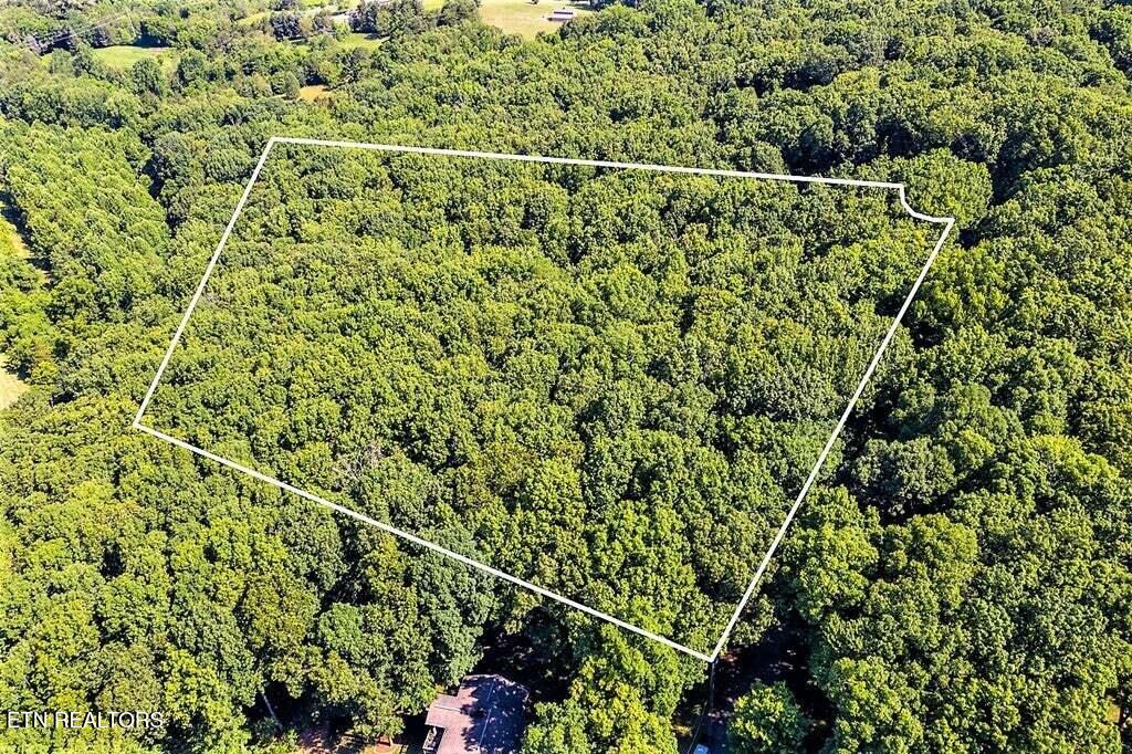 Eagle Ridge Lane Jefferson City, TN 37760 - Photo 3 of 5 20230520144252841520000000-o