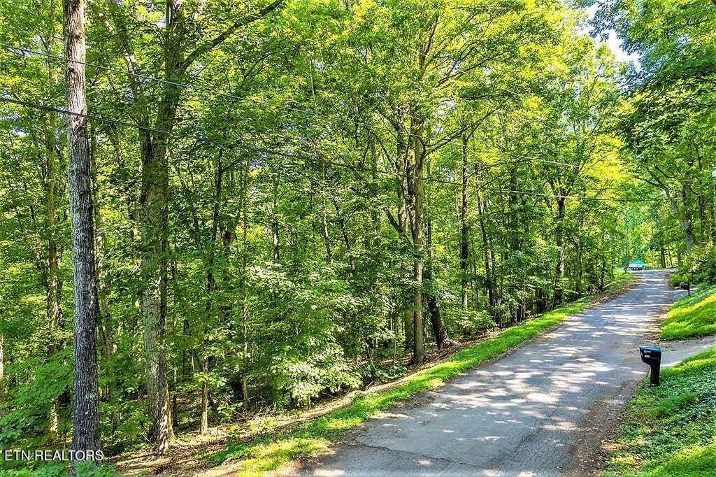 Eagle Ridge Lane Jefferson City, TN 37760 - Photo 4 of 5 20230520144253146887000000-o