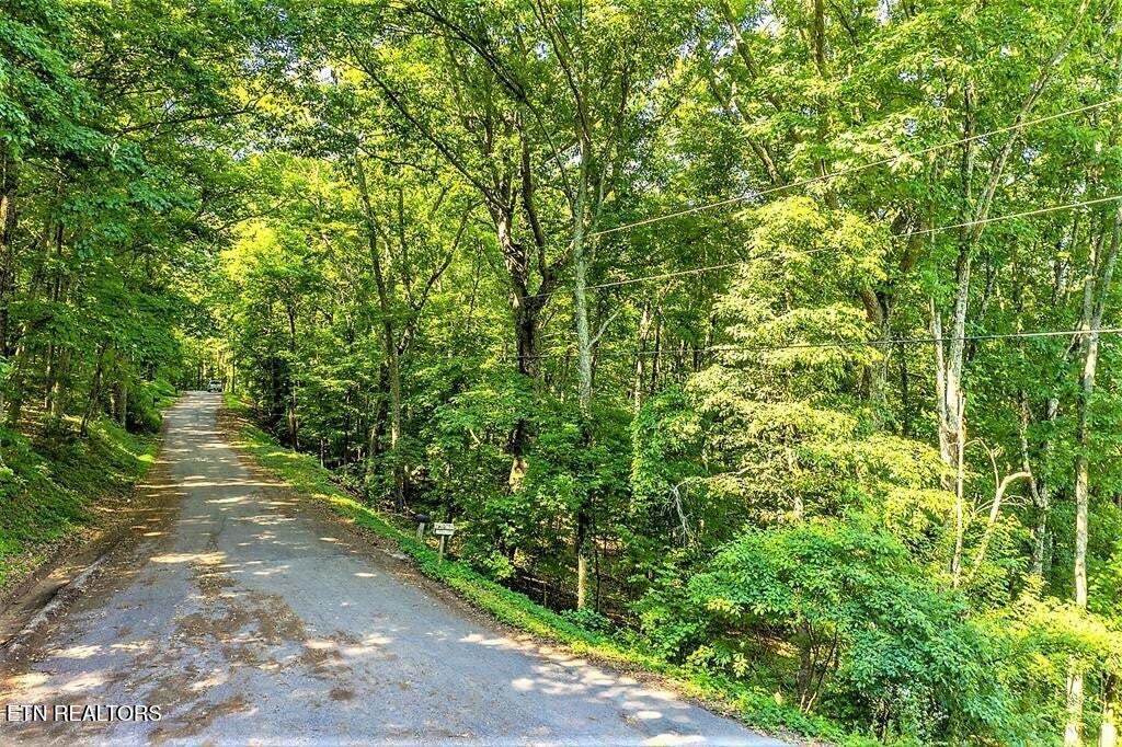 Eagle Ridge Lane Jefferson City, TN 37760 - Photo 5 of 5 20230520144253746637000000-o