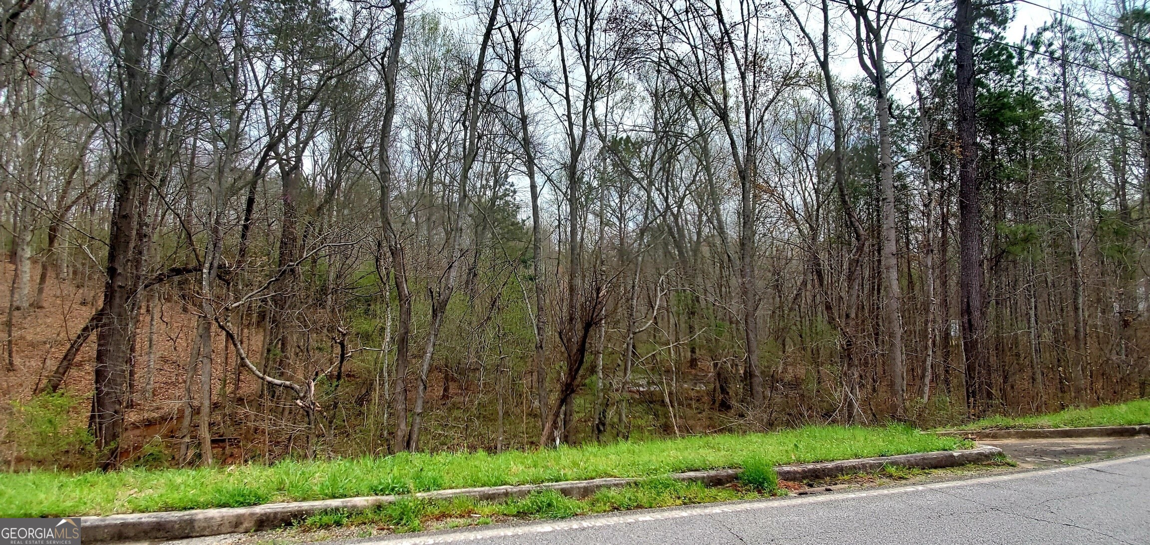 555 Vaughn Road Newnan, GA 30265 - Photo 1 of 1 Gallery Image 1