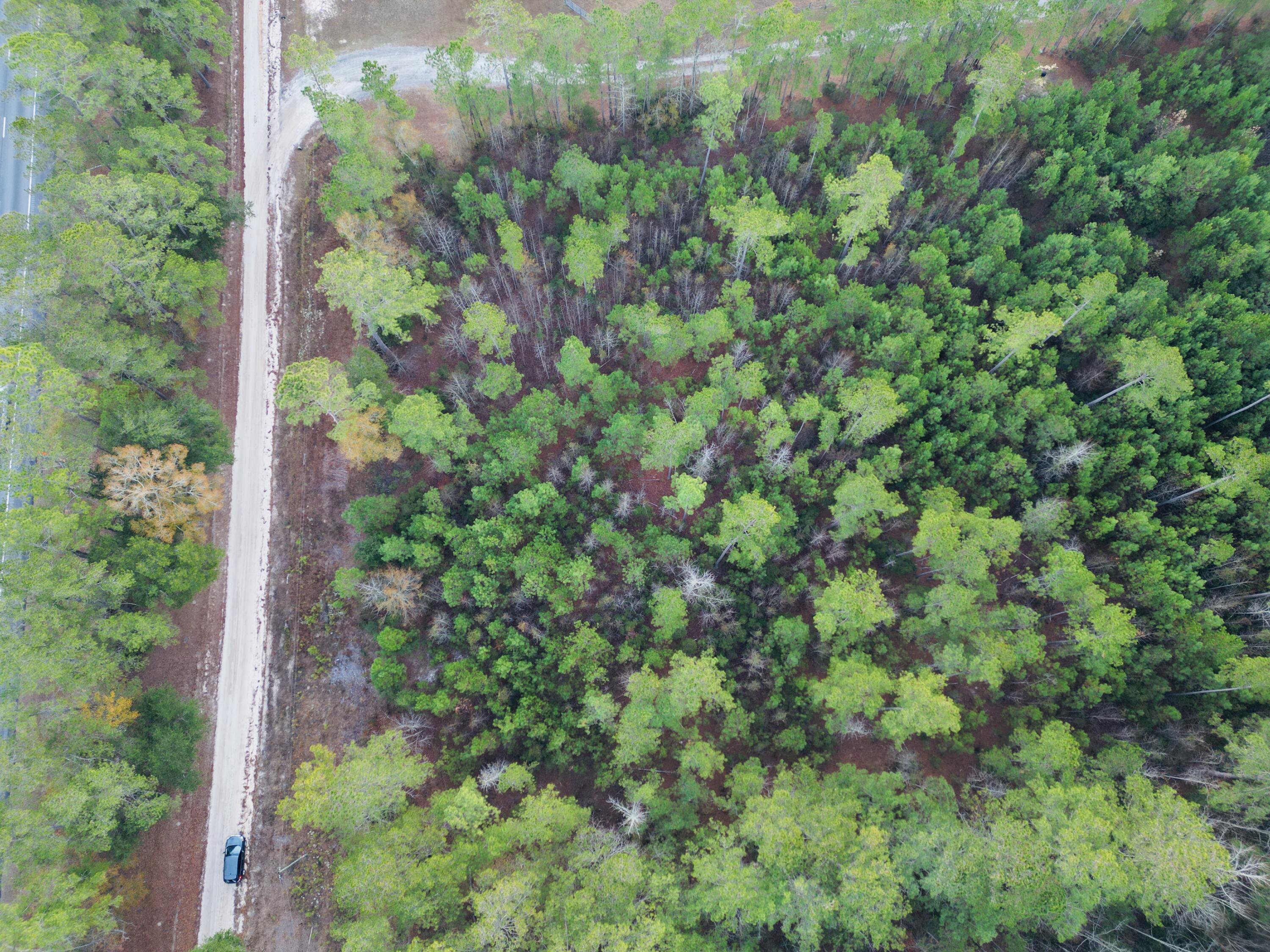 0 Live Oak Road Dorchester, SC 29437 - Photo 11 of 31 dji_fly_20251204_185508_988_176658160054