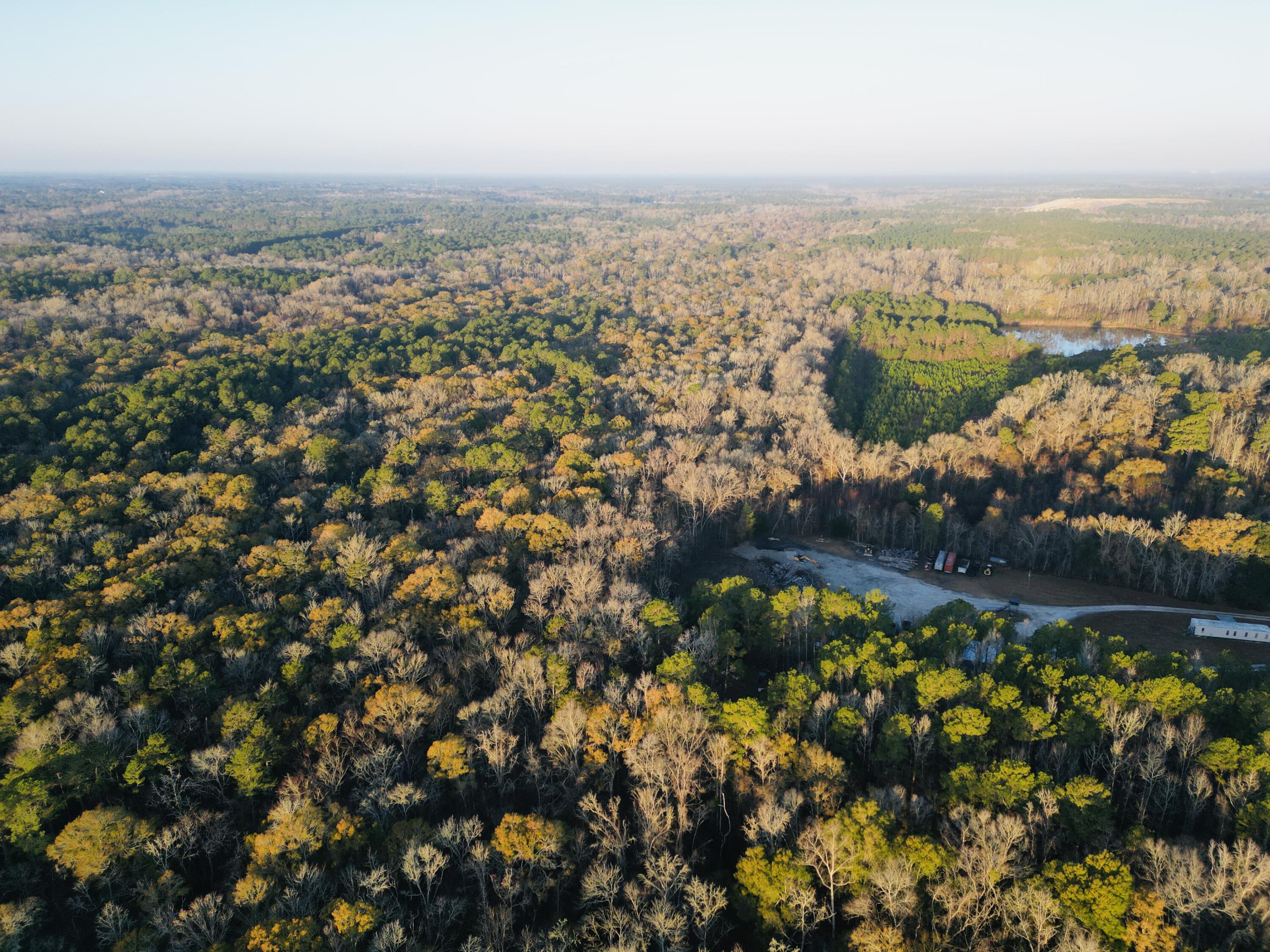 0 Live Oak Road Dorchester, SC 29437 - Photo 18 of 31 dji_fly_20251204_192552_18_1766581543991