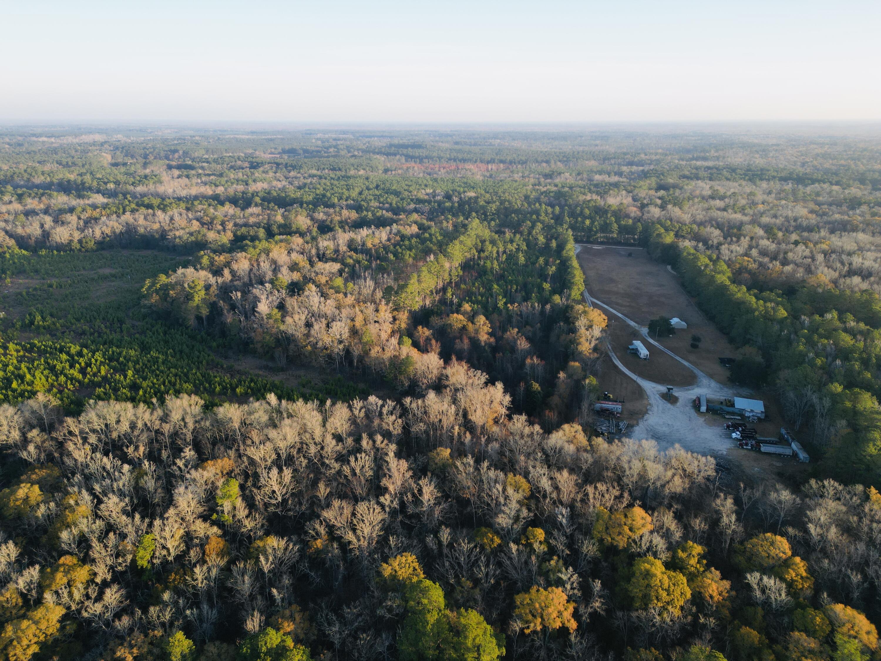 0 Live Oak Road Dorchester, SC 29437 - Photo 19 of 31 dji_fly_20251204_192656_20_1766581540128