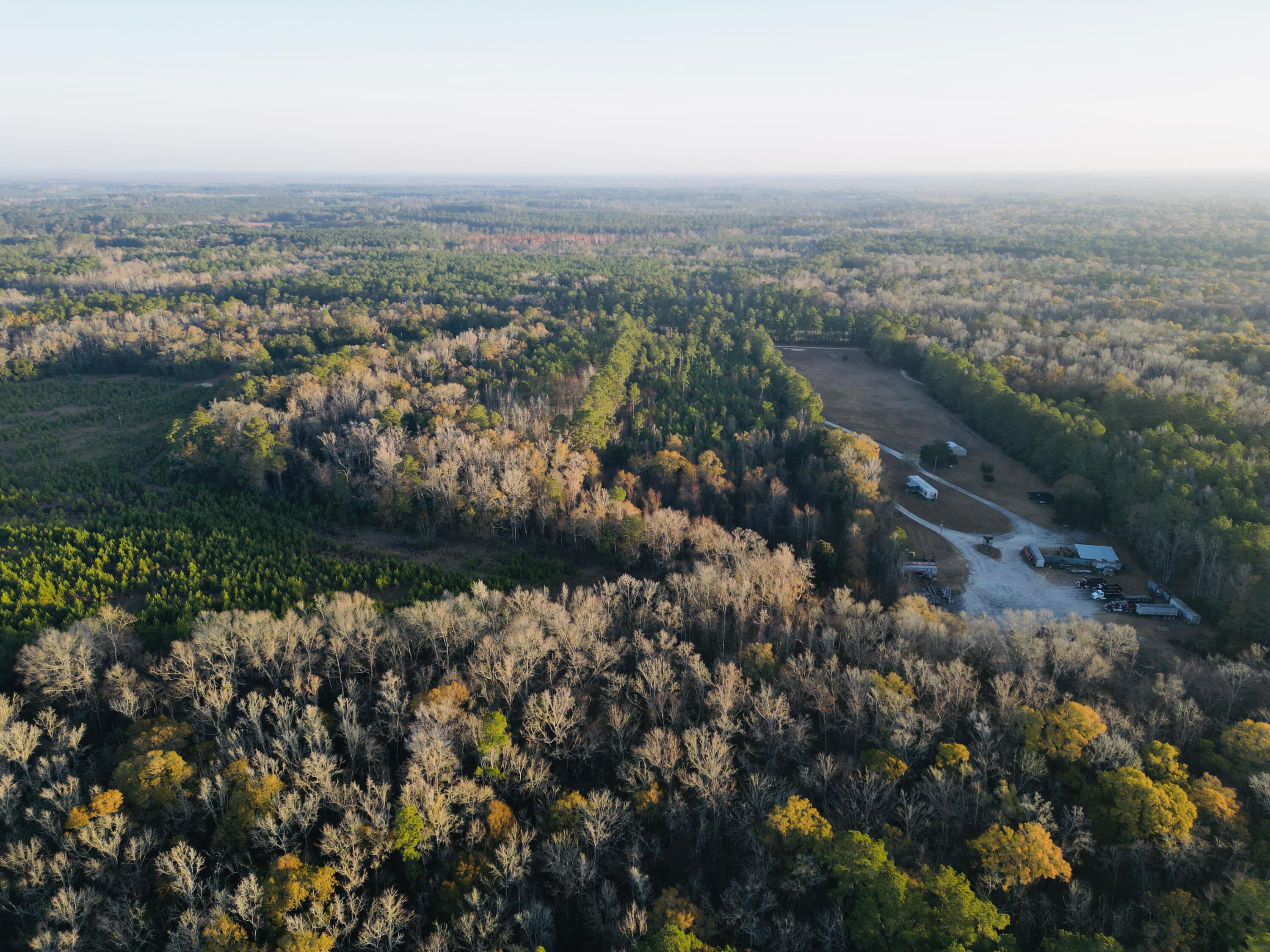 0 Live Oak Road Dorchester, SC 29437 - Photo 20 of 31 dji_fly_20251204_192704_21_1766581538441