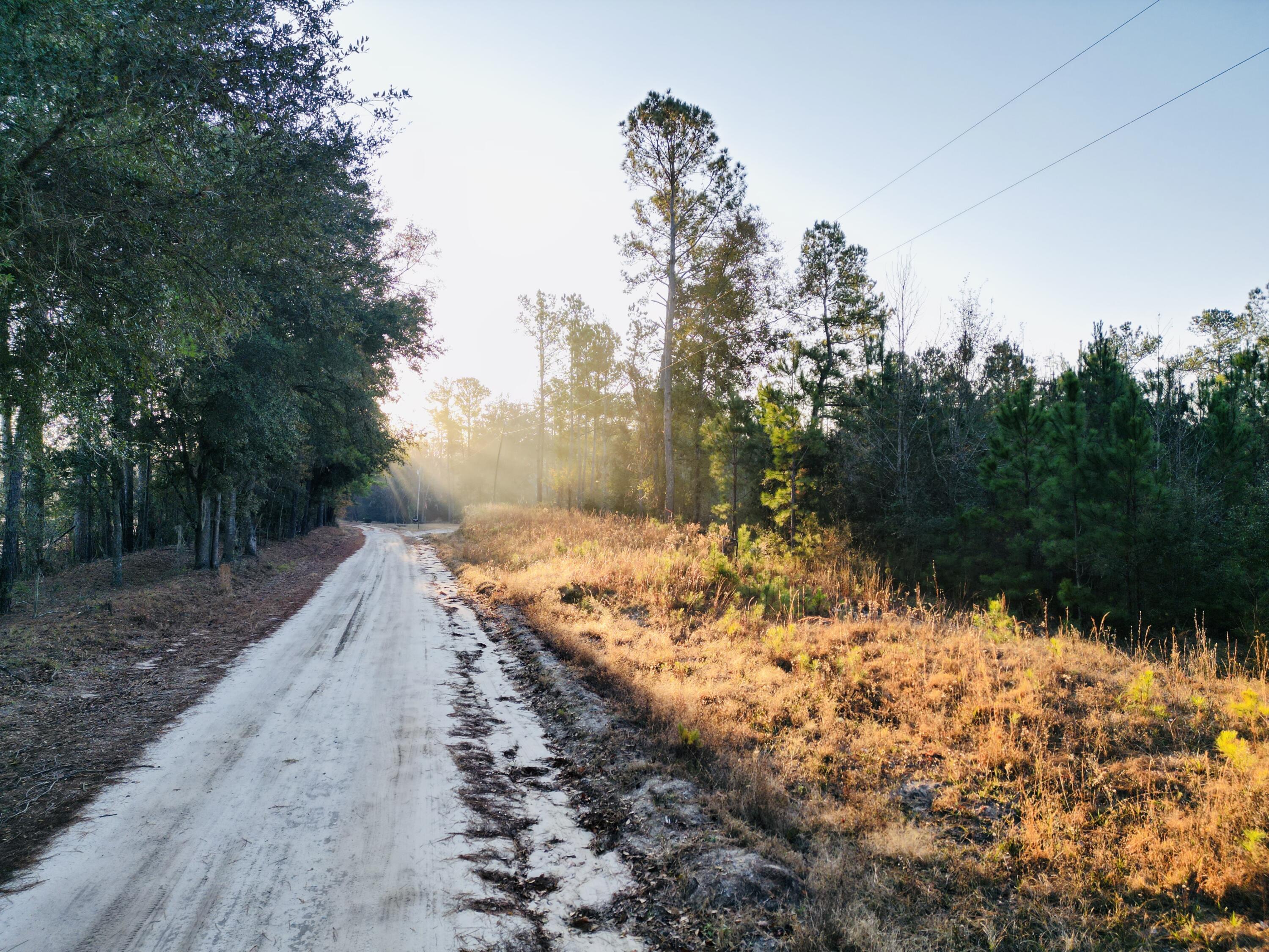0 Live Oak Road Dorchester, SC 29437 - Photo 2 of 31 2