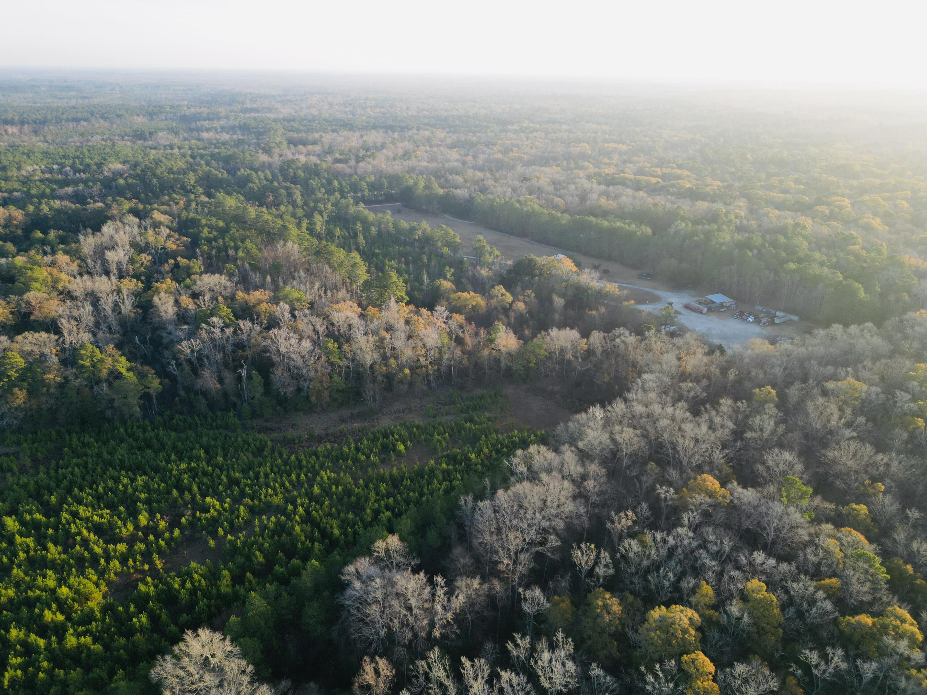 0 Live Oak Road Dorchester, SC 29437 - Photo 21 of 31 dji_fly_20251204_192736_22_1766581536809