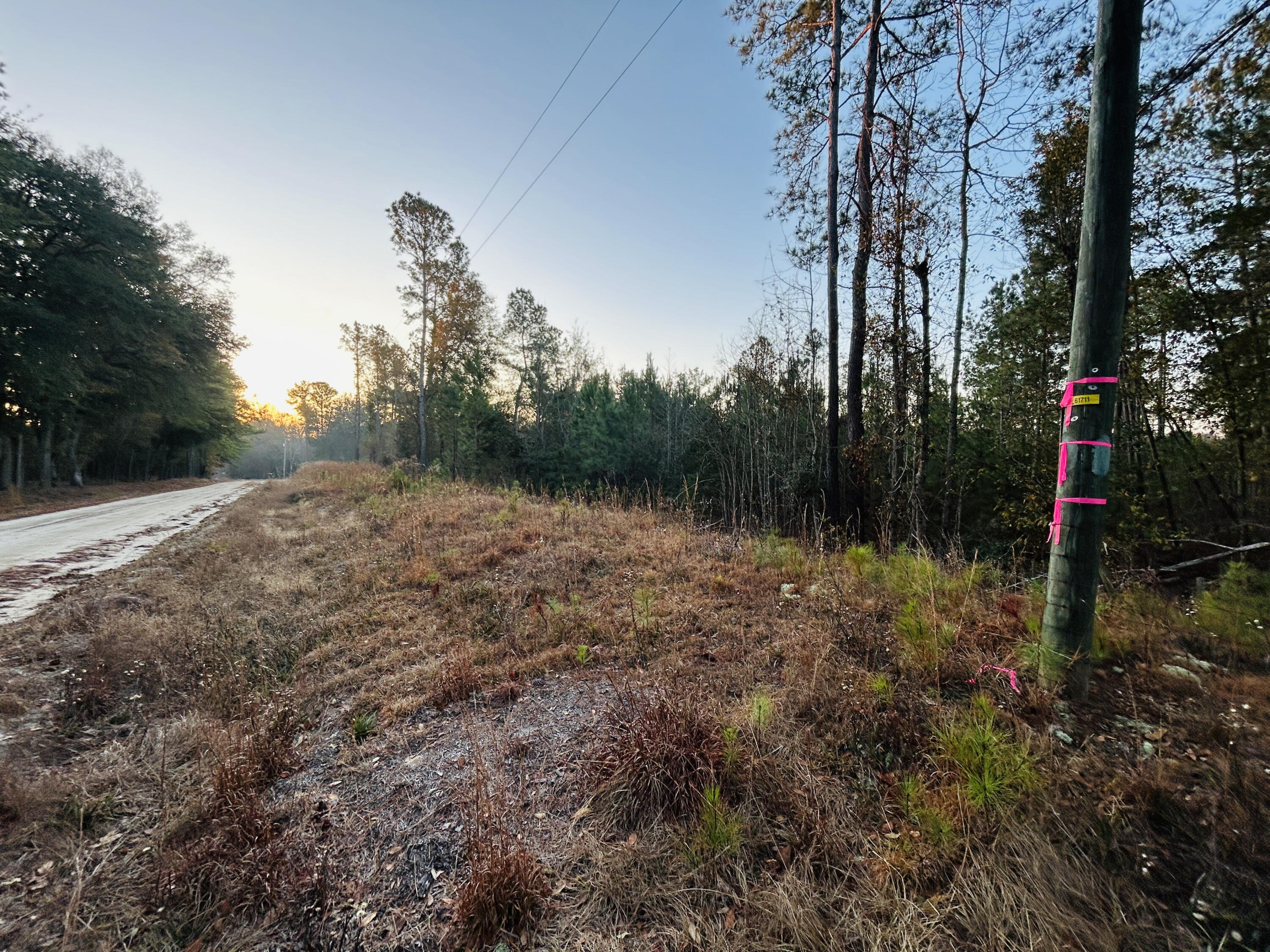 0 Live Oak Road Dorchester, SC 29437 - Photo 26 of 31 IMG_3084