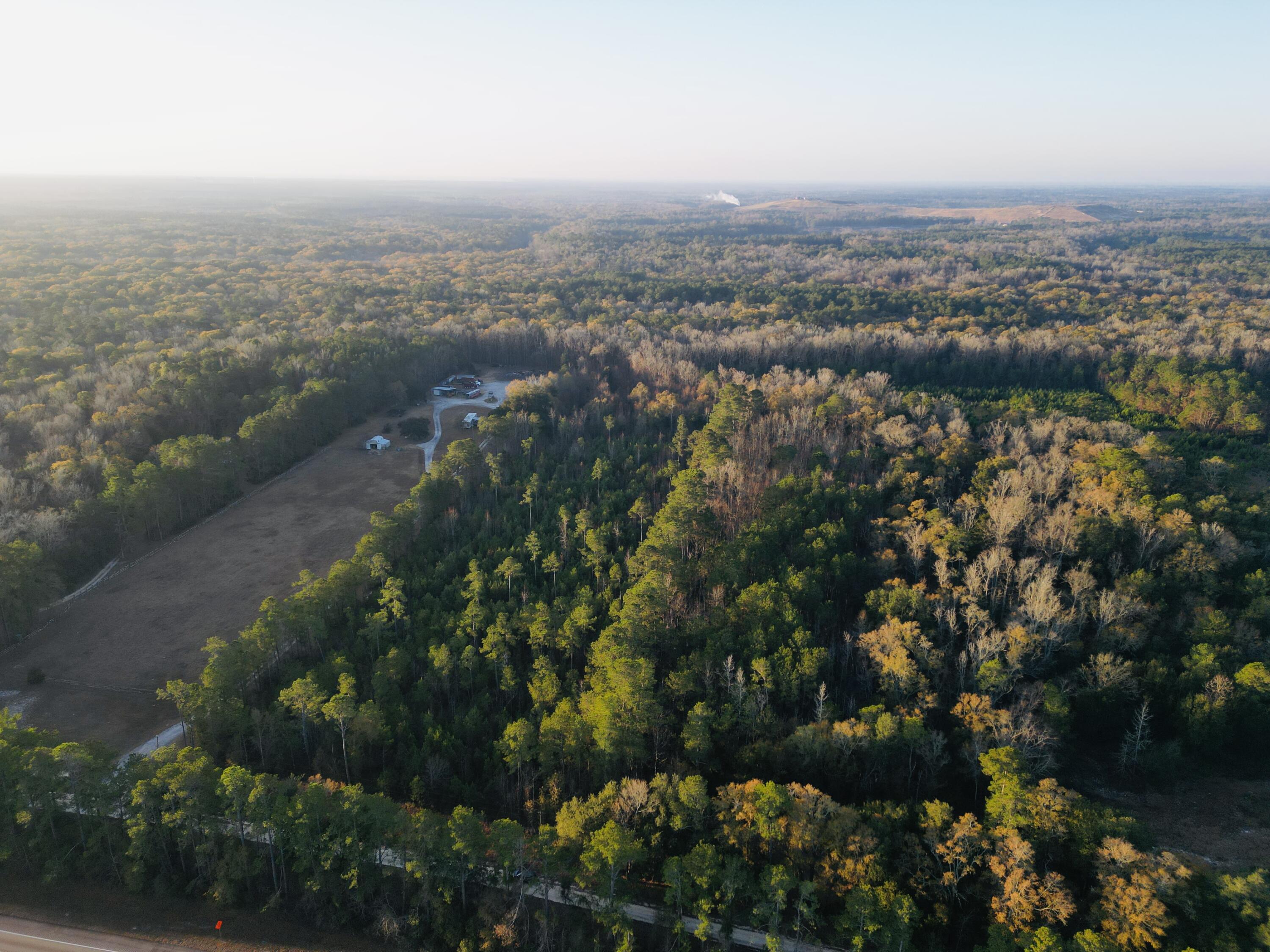 0 Live Oak Road Dorchester, SC 29437 - Photo 6 of 31 6