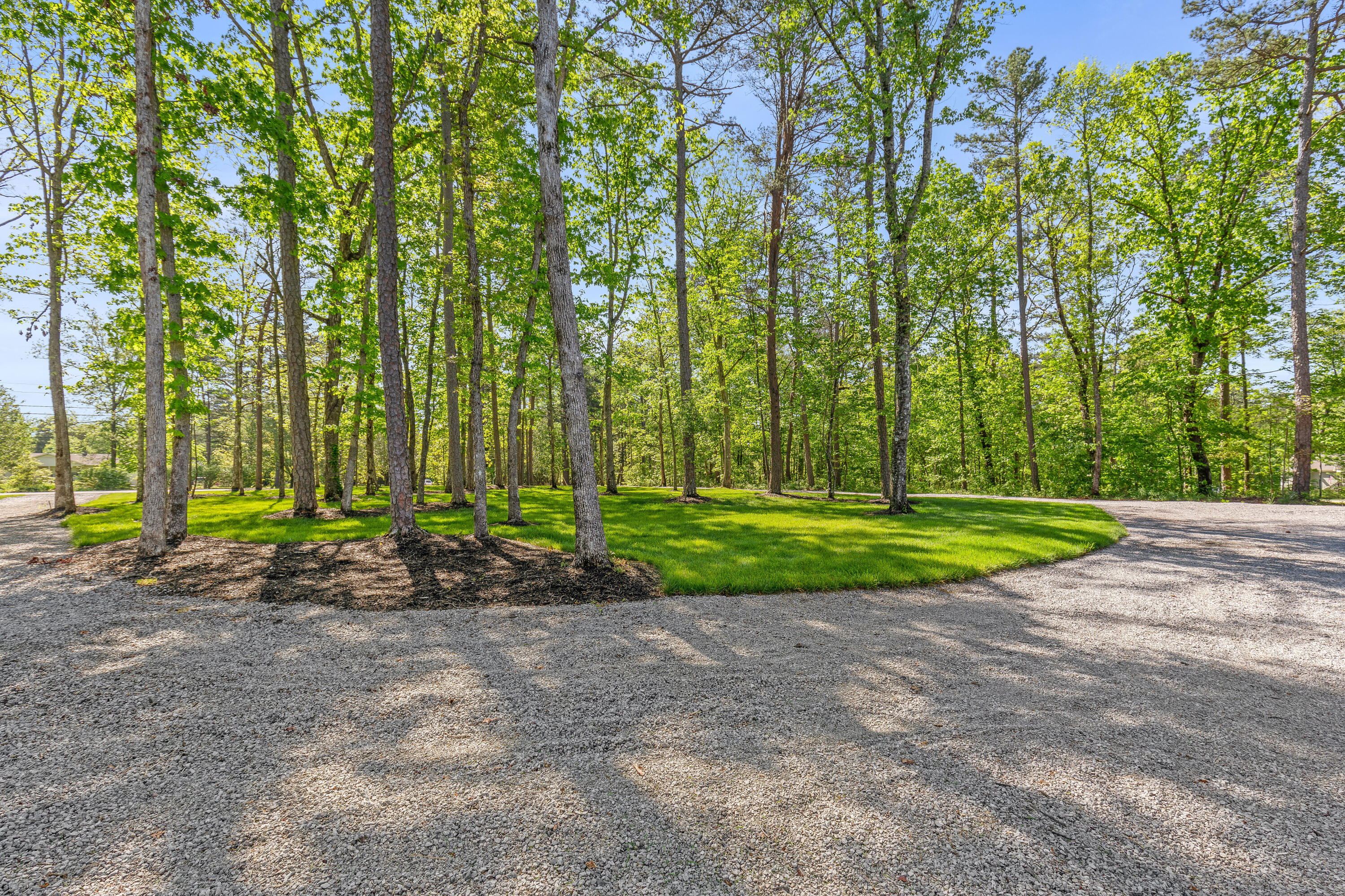 8217 Hixson Springs Road Signal Mountain, TN 37377 - Photo 6 of 70 Hixon Springs-22