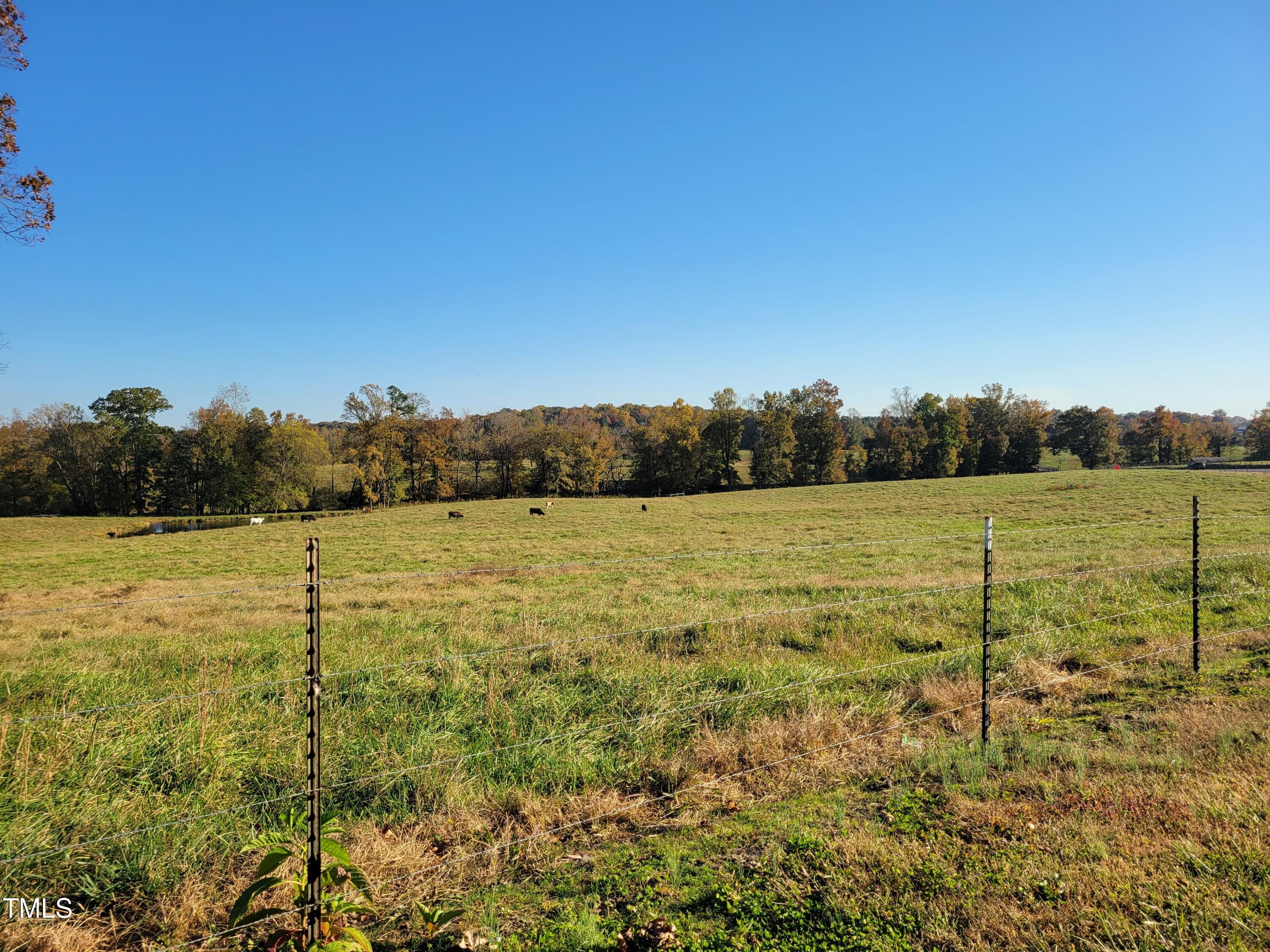 0 Coleridge Road Siler City, NC 27344 - Photo 11 of 25 20241024_163950