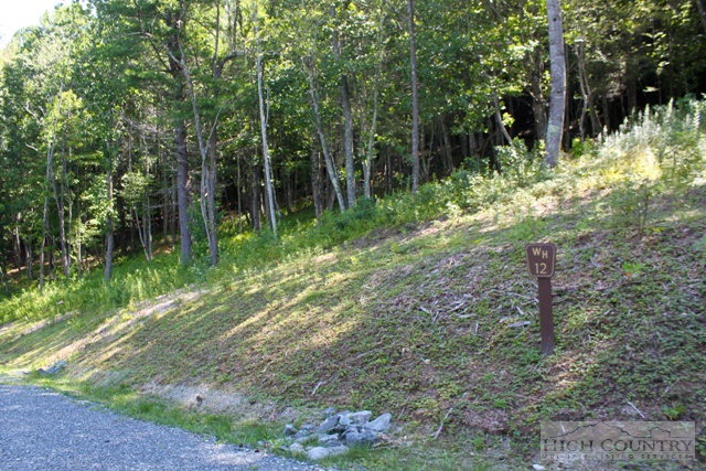 Lot 12 Camp Road Boone, NC 28607 - Photo 8 of 10 a backyard of a house with lots of green space