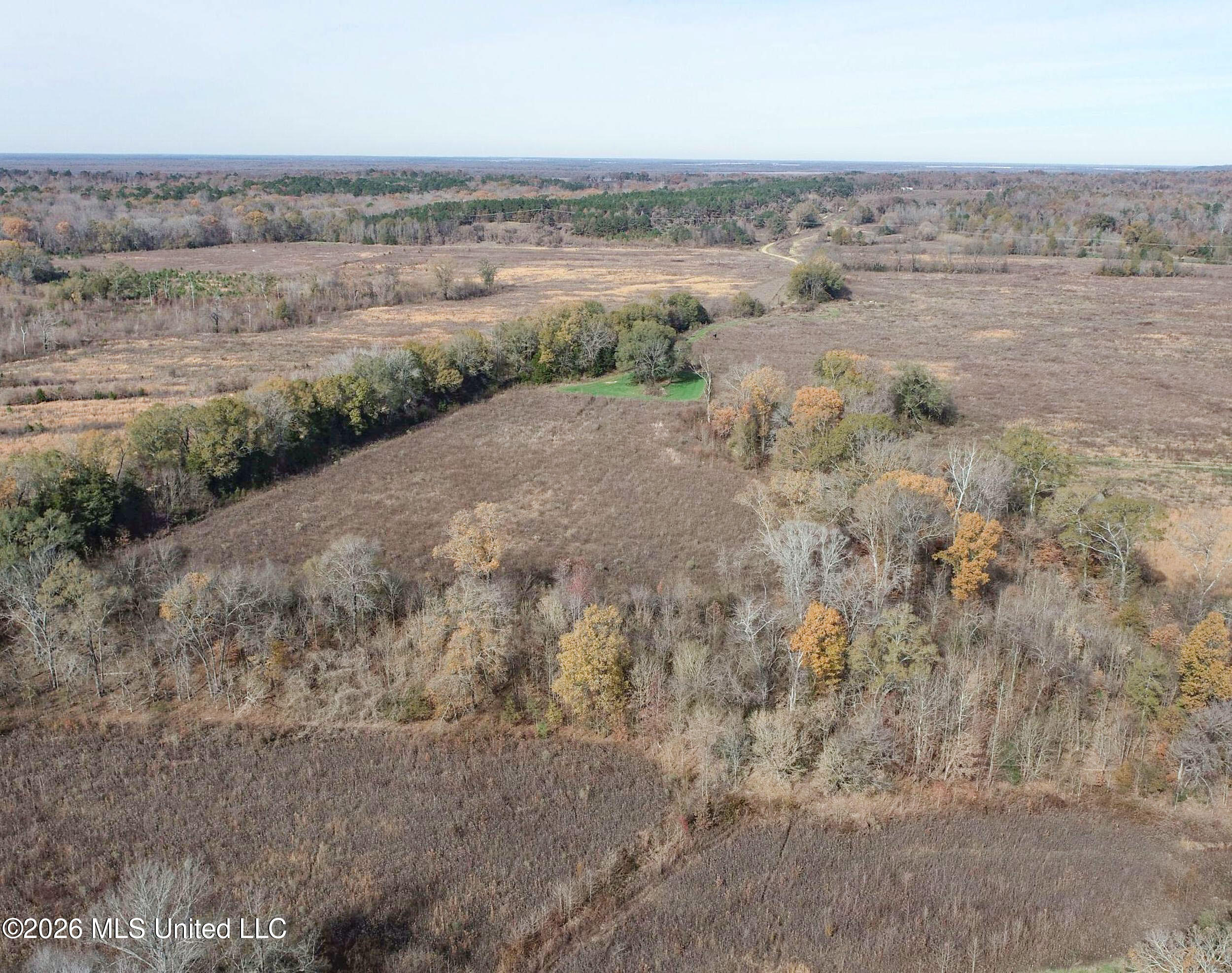 Chinqupin Road Lexington, MS 39095 - Photo 18 of 210 5chqpn3