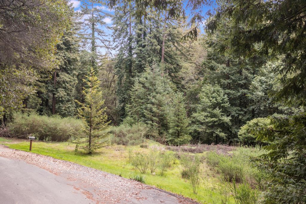 a view of a yard with an outdoor space