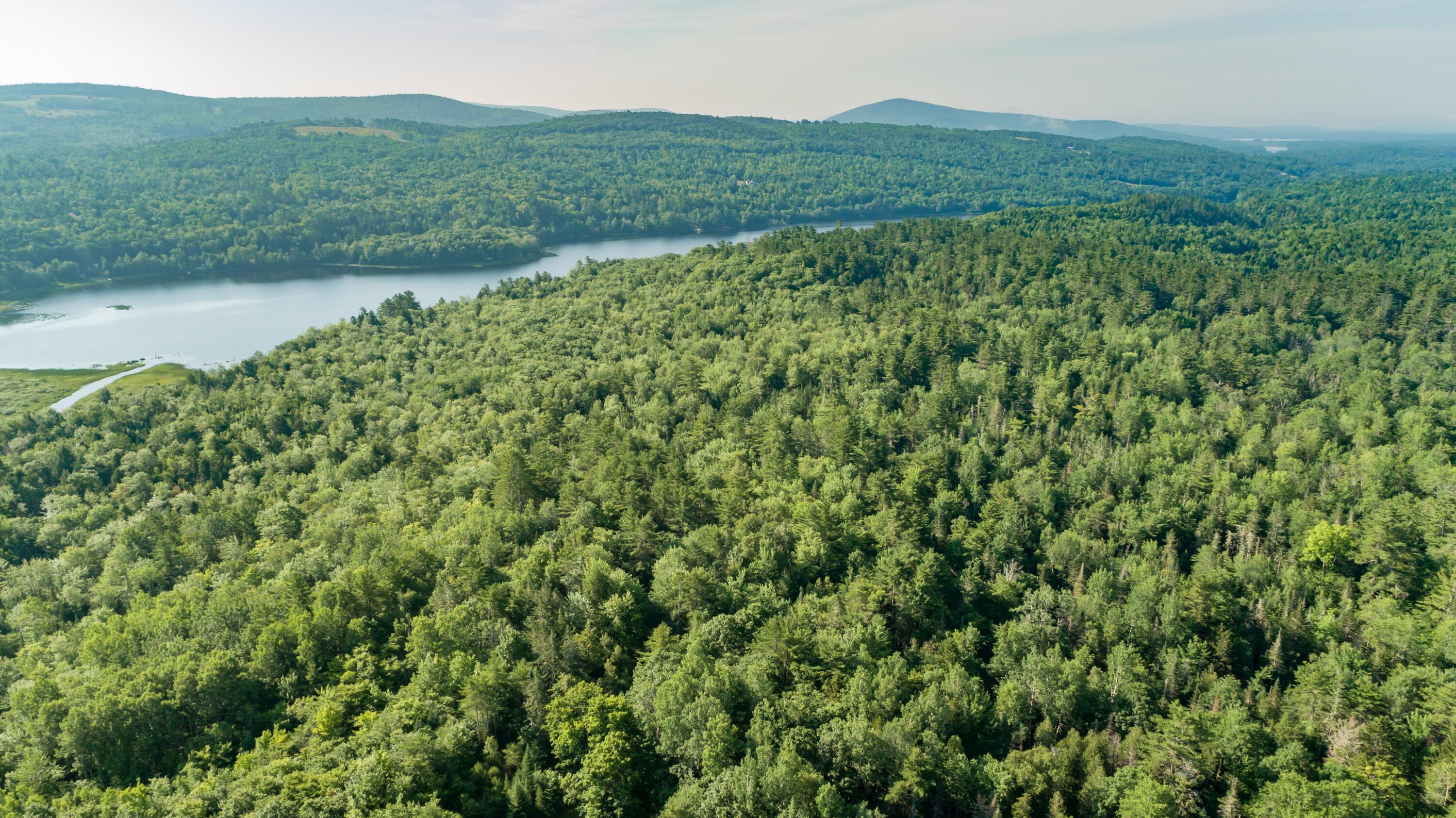 500 Dresser Road Bucksport, ME 04416 - Photo 6 of 28 DJI_0076
