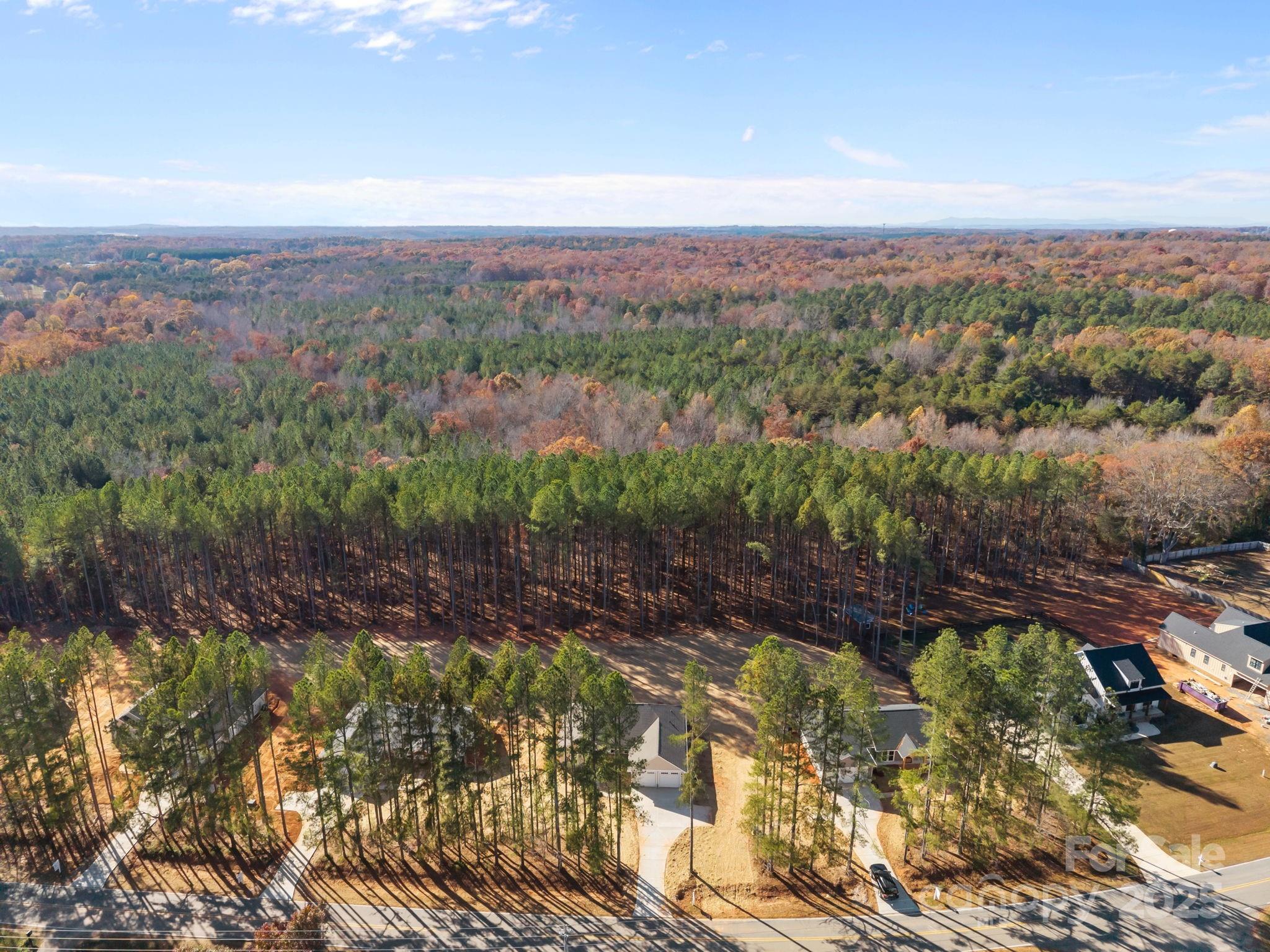2307 Lee Lawing Road Lincolnton, NC 28092 - Photo 39 of 40 a view of a city with lots of trees