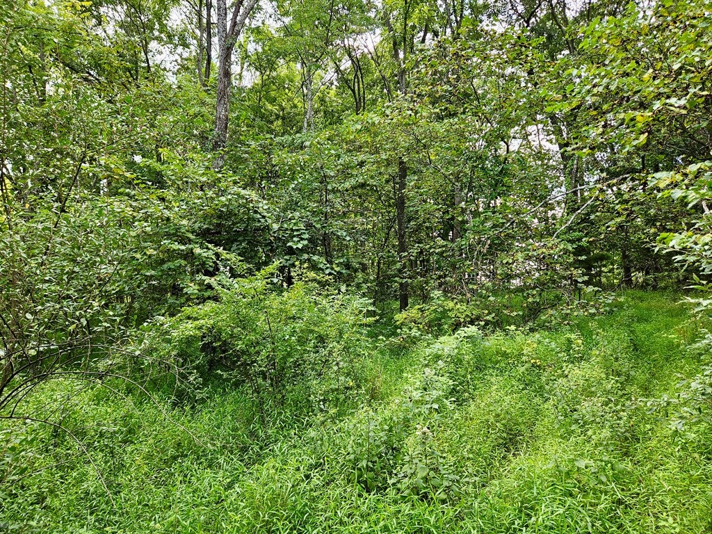10324 Standing Stone Road Huntingdon, PA 16652 - Photo 68 of 71 Gallery Image 68