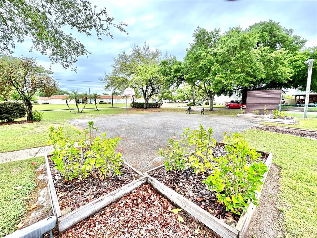 530 Park Avenue, Unit 532 Umatilla, FL 32784 - Photo 20 of 26 a view of a garden with a fountain