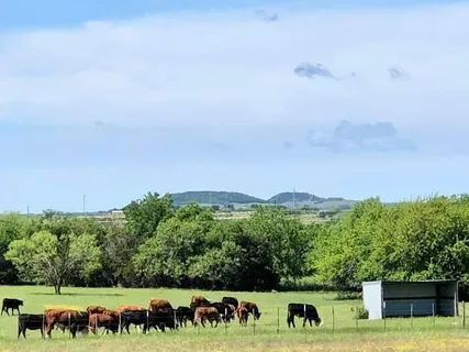 $5,744,520 | 660 Farm To Market 203, Walnut Springs, TX 76690
