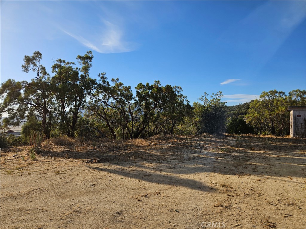 59600 Burnt Valley Road Anza, CA 92539 - Photo 15 of 22 a view of a beach with a tree in the background