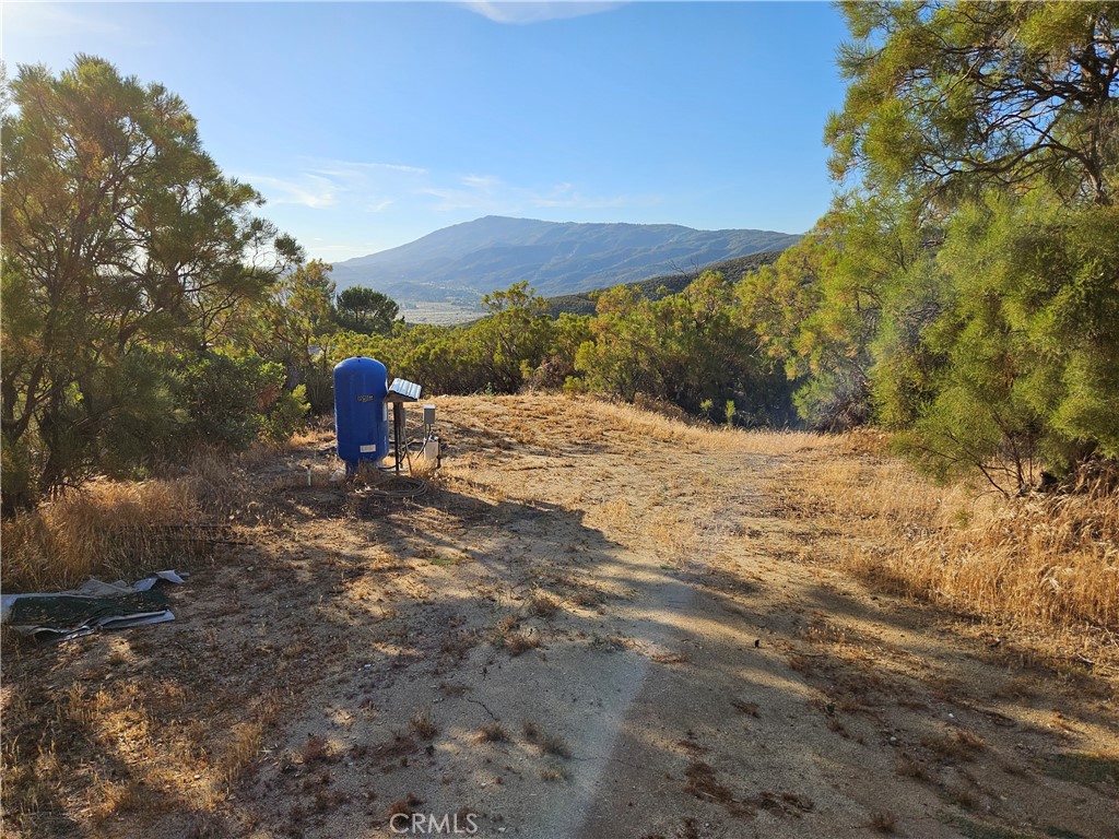 59600 Burnt Valley Road Anza, CA 92539 - Photo 17 of 22 a view of a backyard