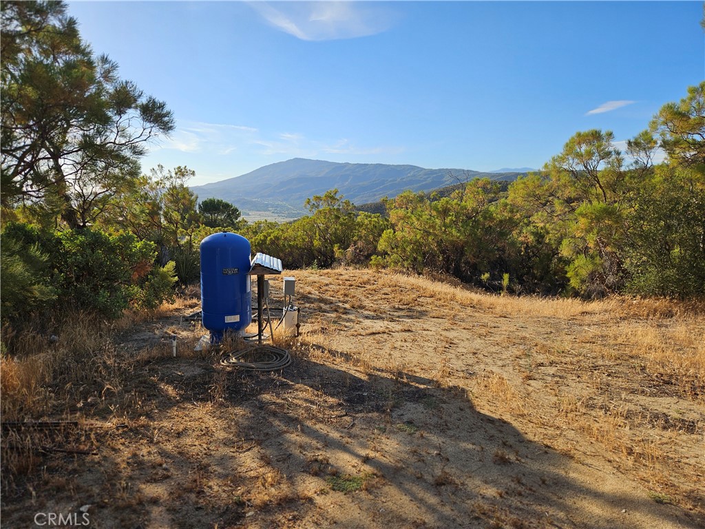 59600 Burnt Valley Road Anza, CA 92539 - Photo 18 of 22 a view of a yard