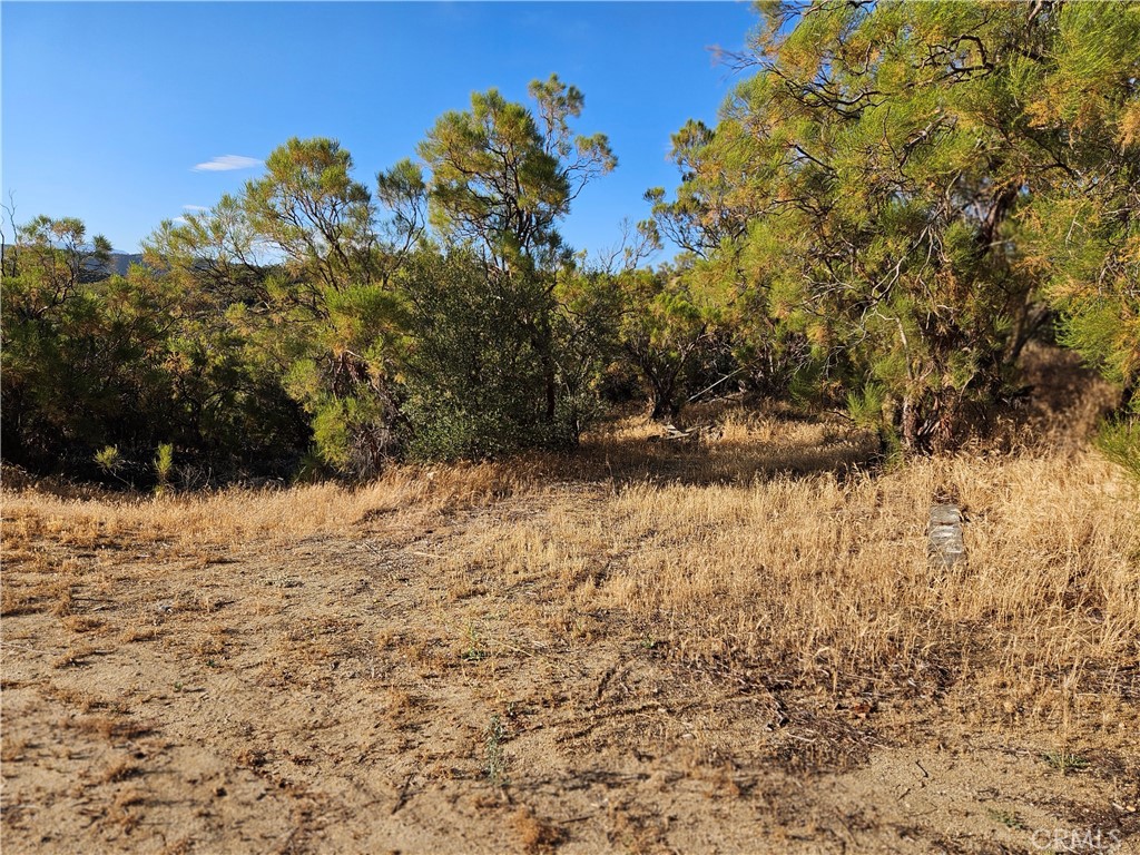 59600 Burnt Valley Road Anza, CA 92539 - Photo 20 of 22 a view of mountain view with trees