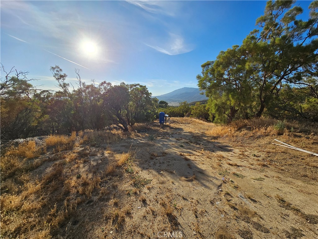59600 Burnt Valley Road Anza, CA 92539 - Photo 9 of 22 a view of a dirt road with large trees